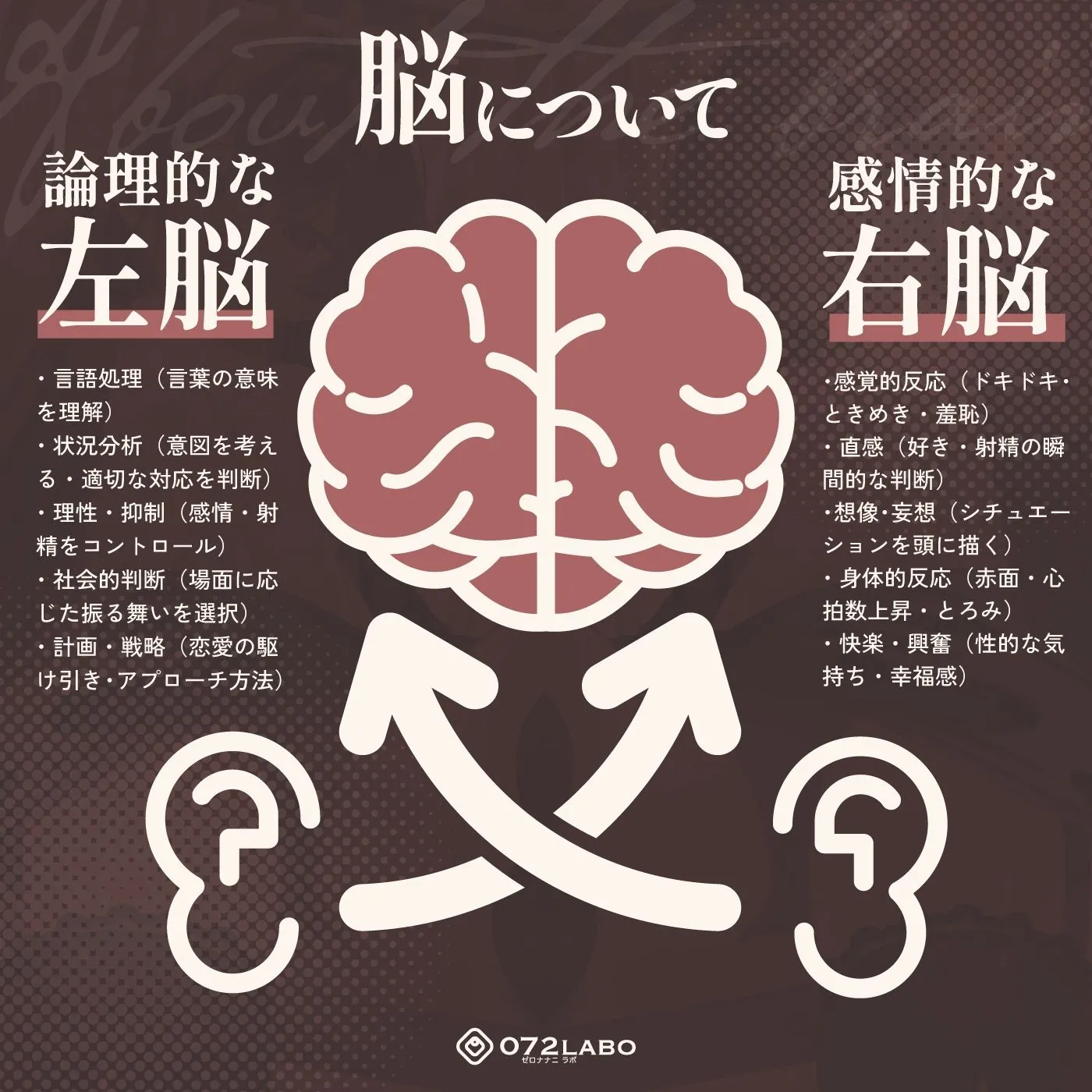 【脳バグ】命令の右耳とドスケベ本心が聞こえる左耳「右耳左耳右脳左脳」〜とても厳しい射精管理官★低音ボイスお姉さんの本音〜【射精管理官の本音】 画像3