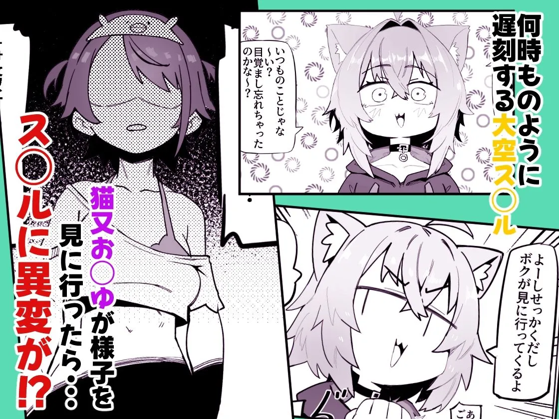 SOFS 画像1