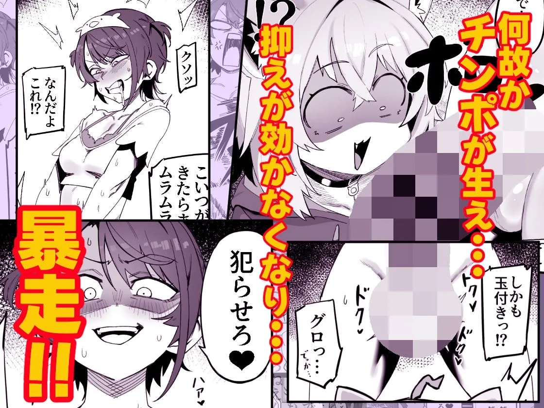 SOFS 画像2