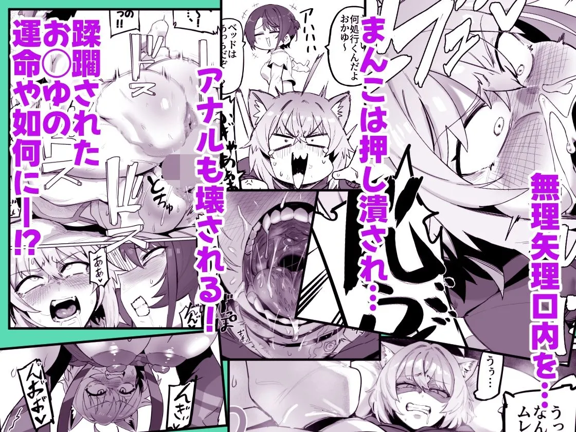 SOFS 画像3