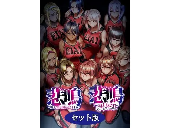 悲鳴 〜after〜 ショートストーリー セット版
